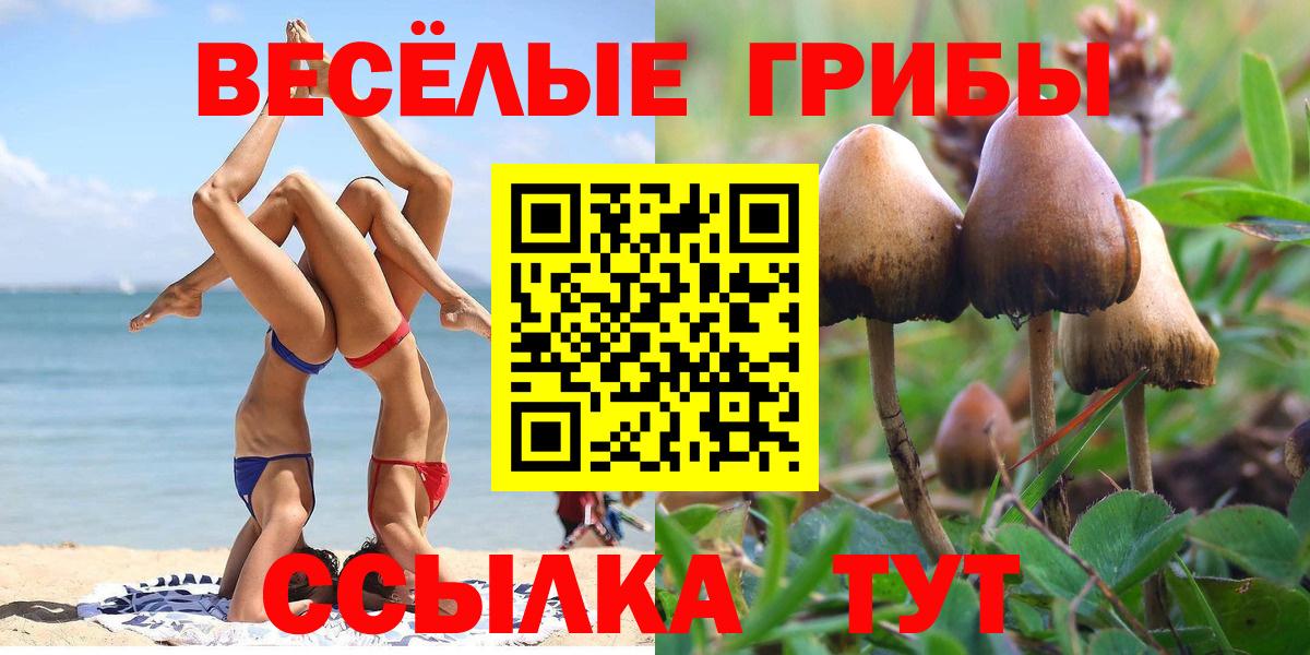 закладка  Псилоцибиновые грибы GOLDEN TEACHER  Галлюциногенные грибы мицелий  Вход с VPN  Гусь-Хрустальный 