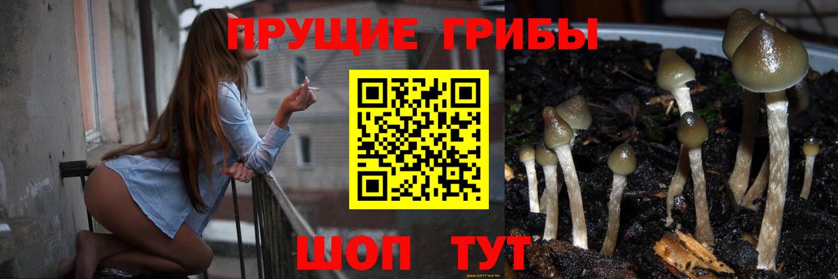 Псилоцибиновые грибы Magic Shrooms Гусь-Хрустальный