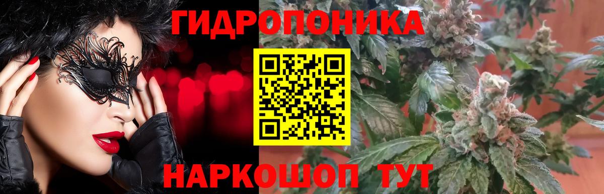 Конопля LSD WEED  Вход с VPN  Конопля семена  Гусь-Хрустальный  Бошки Шишки LSD WEED 